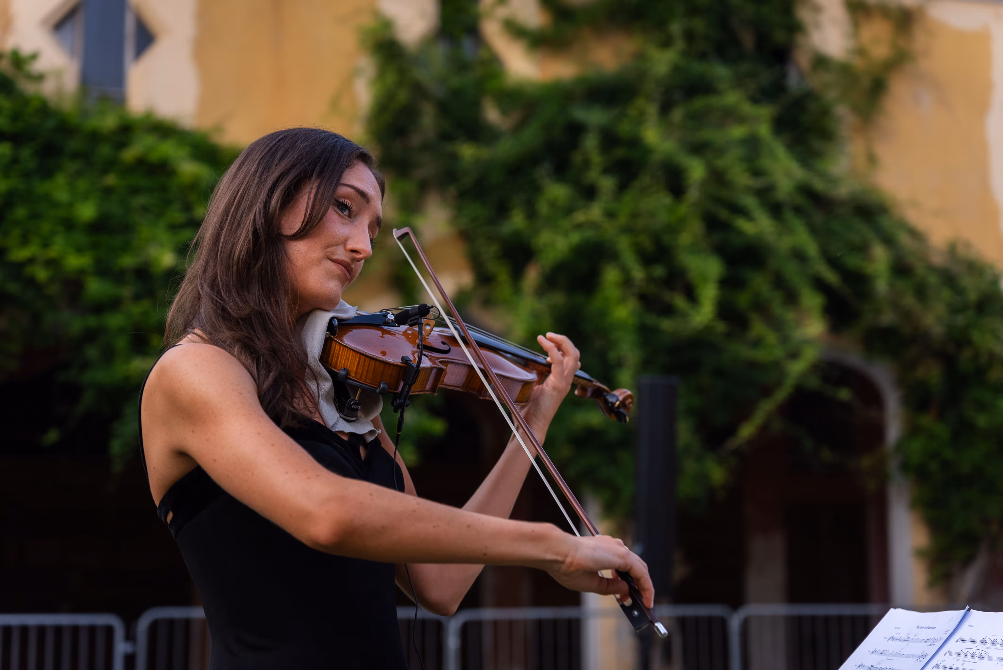 Festival photo 10