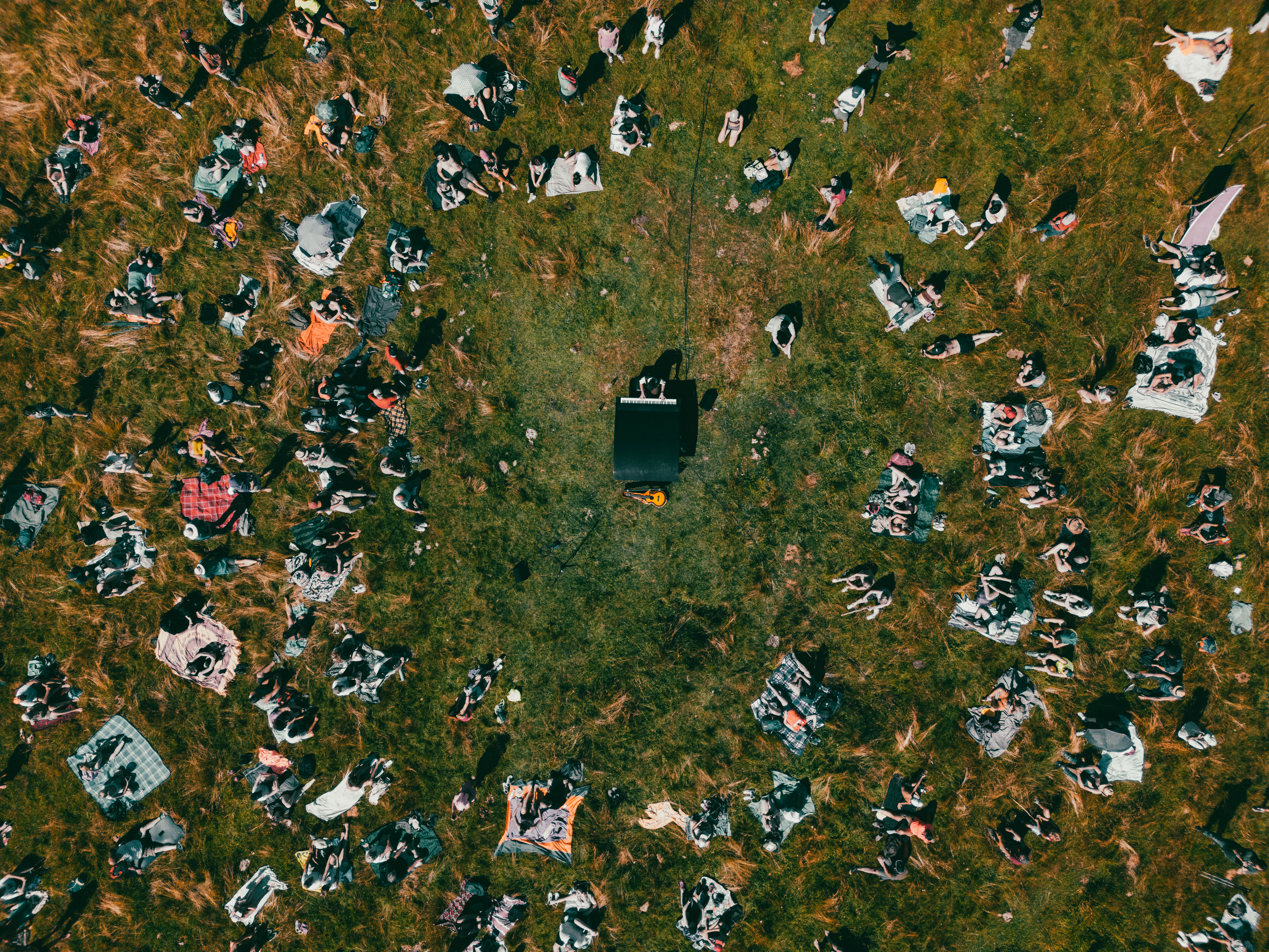 Festival photo 38